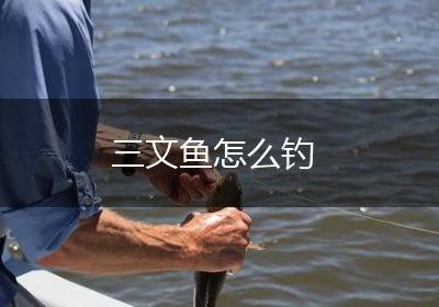 三文鱼怎么钓