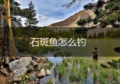 石斑鱼怎么钓