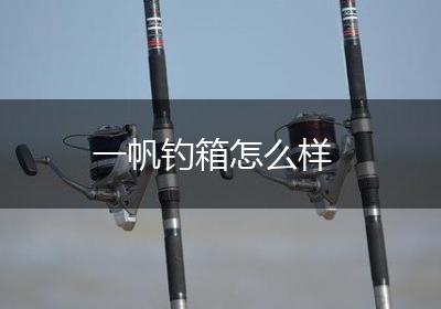一帆钓箱怎么样