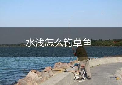 水浅怎么钓草鱼