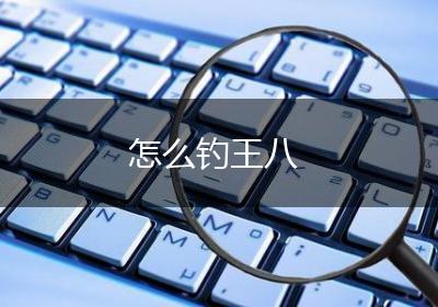 怎么钓王八