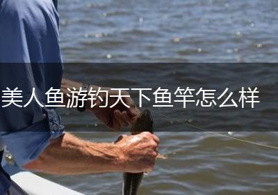 美人鱼游钓天下鱼竿怎么样