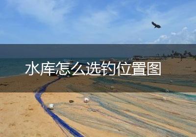 水库怎么选钓位置图