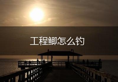 工程鲫怎么钓