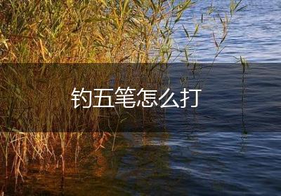 钓五笔怎么打