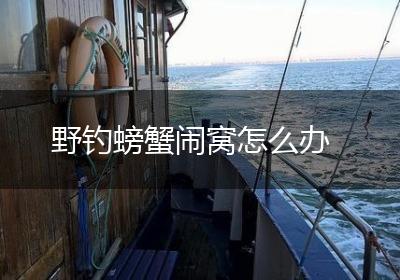 野钓螃蟹闹窝怎么办