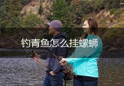 钓青鱼怎么挂螺蛳