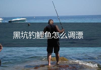 黑坑钓鲤鱼怎么调漂