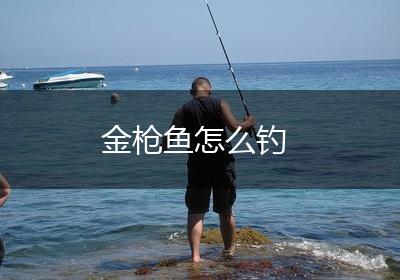 金枪鱼怎么钓