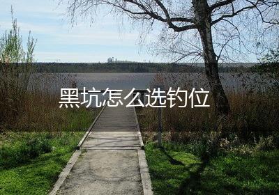黑坑怎么选钓位
