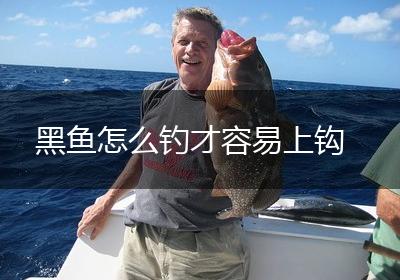 黑鱼怎么钓才容易上钩