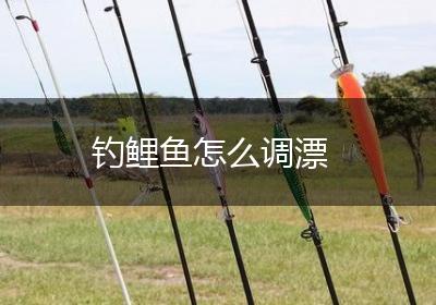 钓鲤鱼怎么调漂