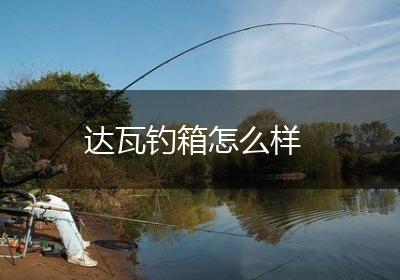 达瓦钓箱怎么样