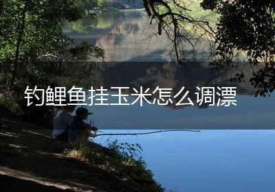 钓鲤鱼挂玉米怎么调漂