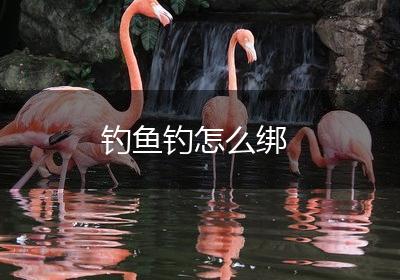 钓鱼钓怎么绑
