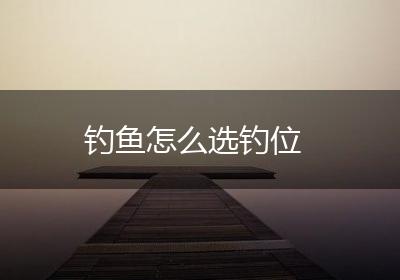 钓鱼怎么选钓位