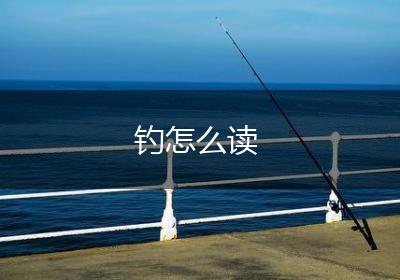 钓怎么读