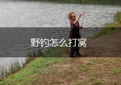野钓怎么打窝