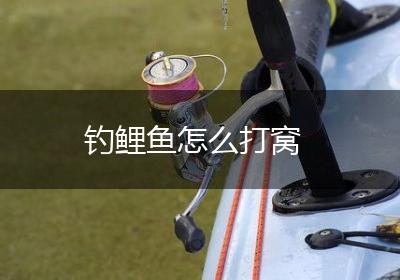 钓鲤鱼怎么打窝