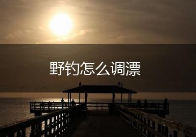 野钓怎么调漂