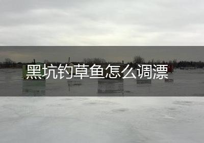 黑坑钓草鱼怎么调漂
