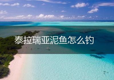 泰拉瑞亚泥鱼怎么钓