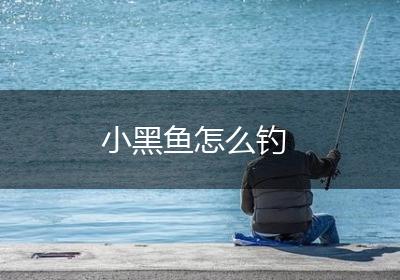 小黑鱼怎么钓