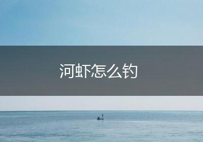 河虾怎么钓