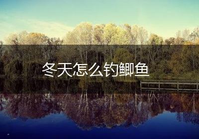 冬天怎么钓鲫鱼