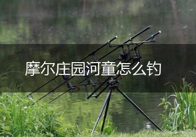 摩尔庄园河童怎么钓