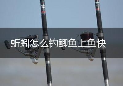 蚯蚓怎么钓鲫鱼上鱼快
