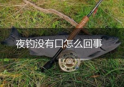 夜钓没有口怎么回事