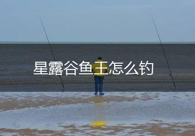 星露谷鱼王怎么钓