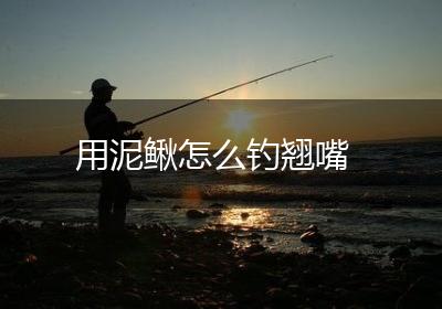 用泥鳅怎么钓翘嘴