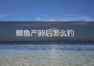 鲫鱼产卵后怎么钓