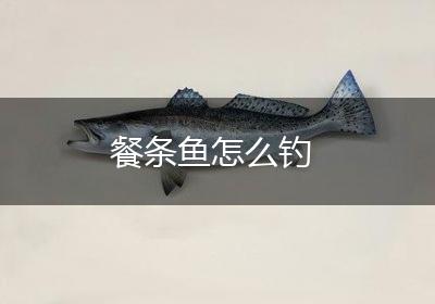 餐条鱼怎么钓