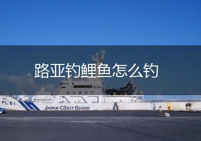 路亚钓鲤鱼怎么钓