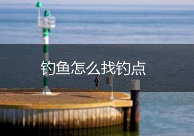 钓鱼怎么找钓点