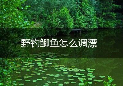 野钓鲫鱼怎么调漂