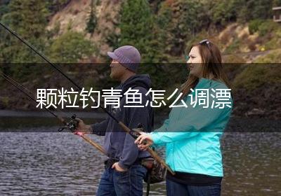 颗粒钓青鱼怎么调漂