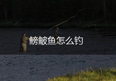 鳑鲏鱼怎么钓