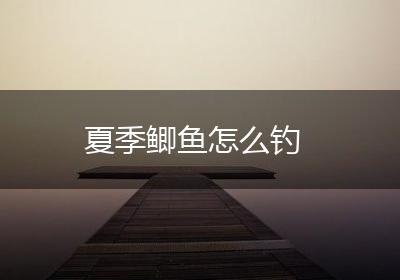 夏季鲫鱼怎么钓