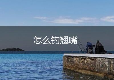 怎么钓翘嘴