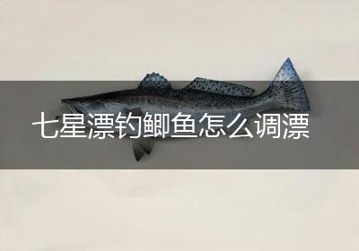七星漂钓鲫鱼怎么调漂