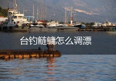 台钓鲢鳙怎么调漂