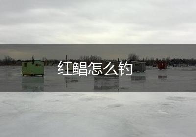红鲳怎么钓