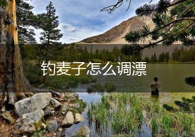 钓麦子怎么调漂