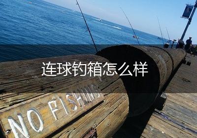 连球钓箱怎么样