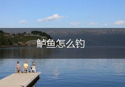 鲈鱼怎么钓