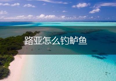 路亚怎么钓鲈鱼
